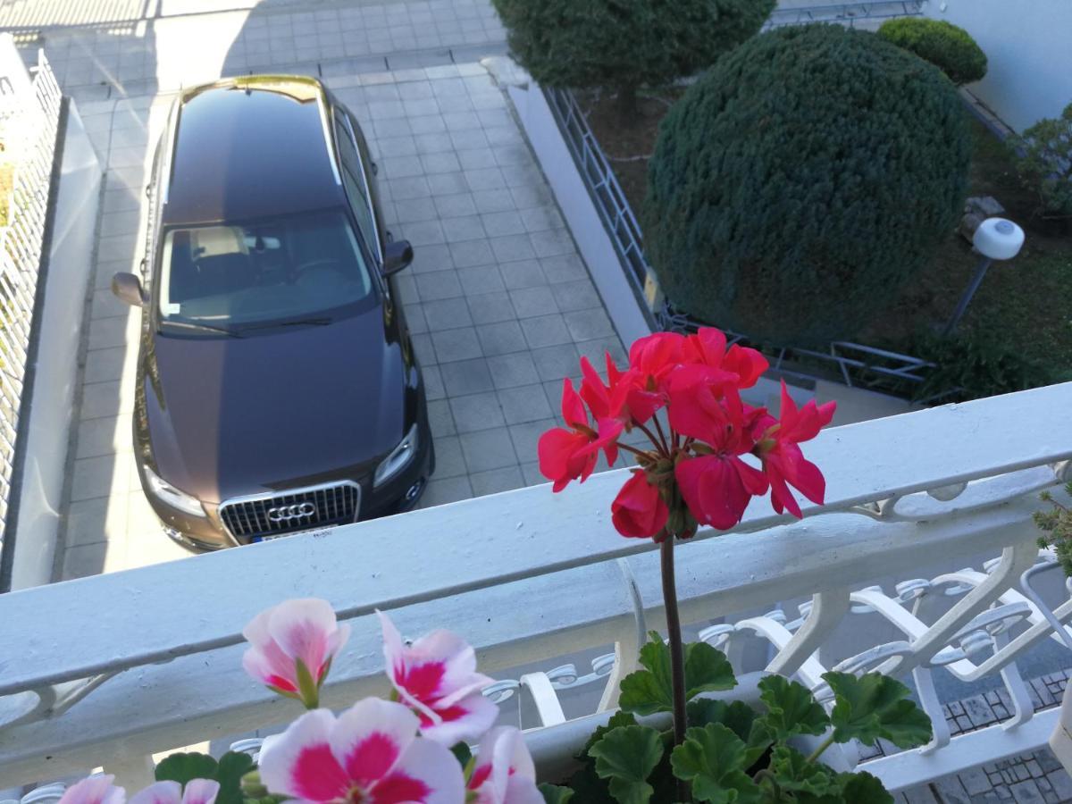 Apartmani Capi Golubac Extérieur photo